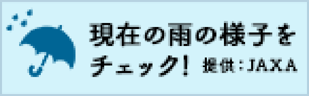 現在の雨の様子をチェック！